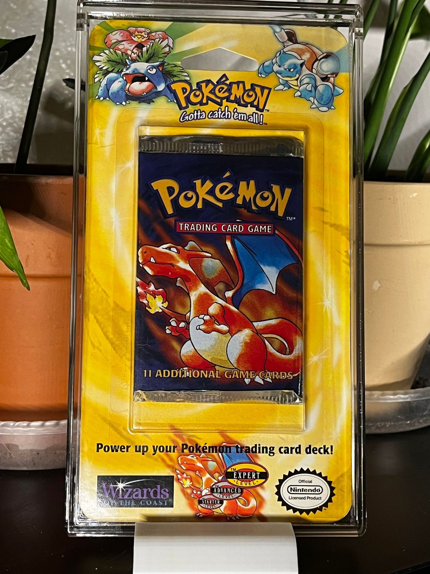 WOTC Pokemon Acrylic Case Blister Pack Display Protection Sealed Collecting