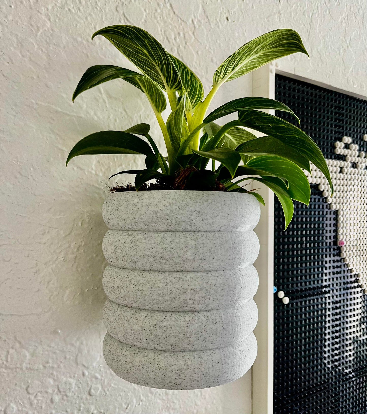 Wall Mounted Planter - NO DRILLING - Planter Stand, Potted Plant Wall, Decorative Indoor Wall Plant Holder, 3D Printed Wall Planter, Houseplant Wall Display Ideas - 4 Inches