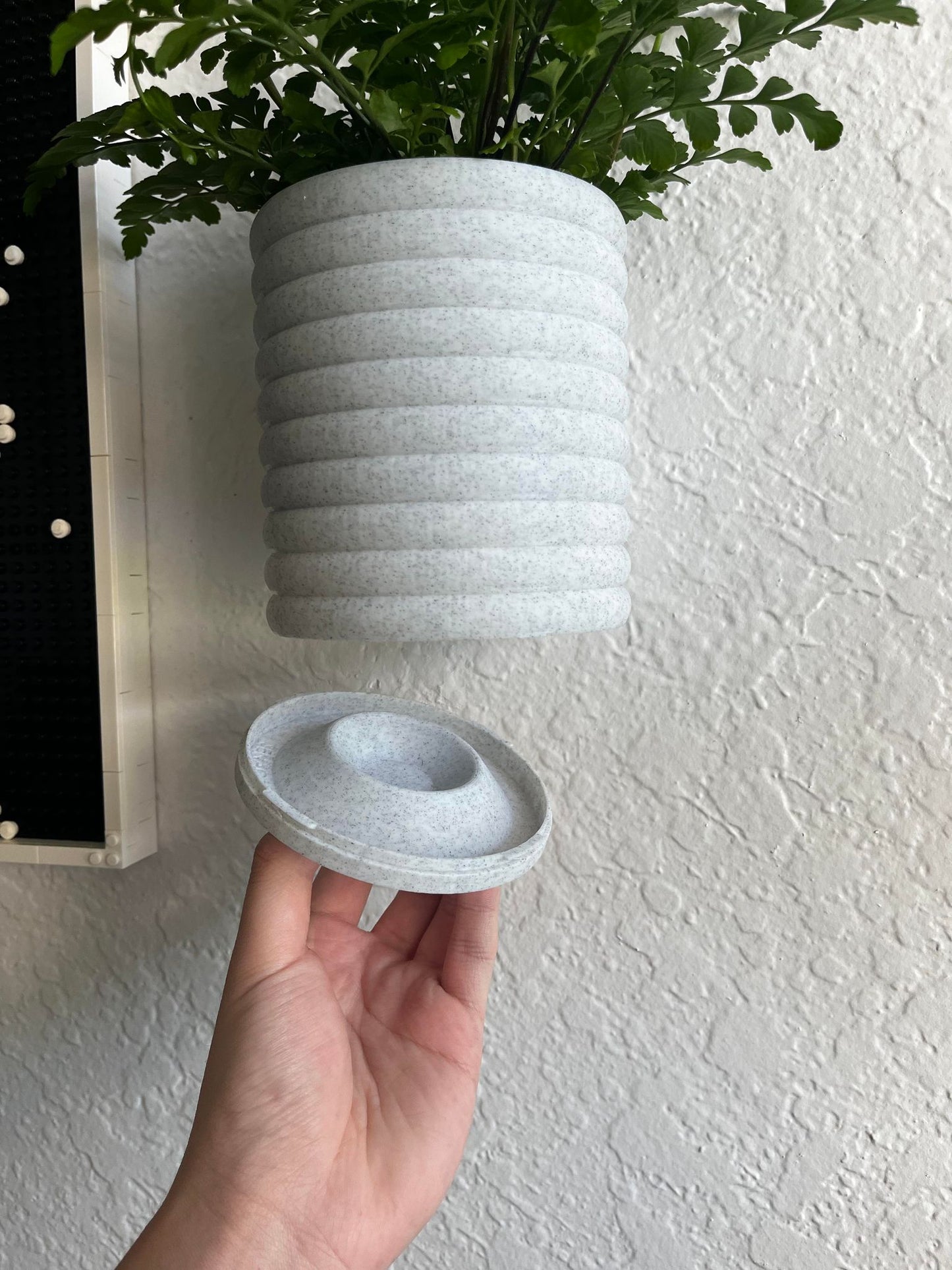 Wall Mounted Planter - NO DRILLING - Planter Stand, Potted Plant Wall, Decorative Indoor Wall Plant Holder, 3D Printed Wall Planter, Houseplant Wall Display Ideas - 4 Inches