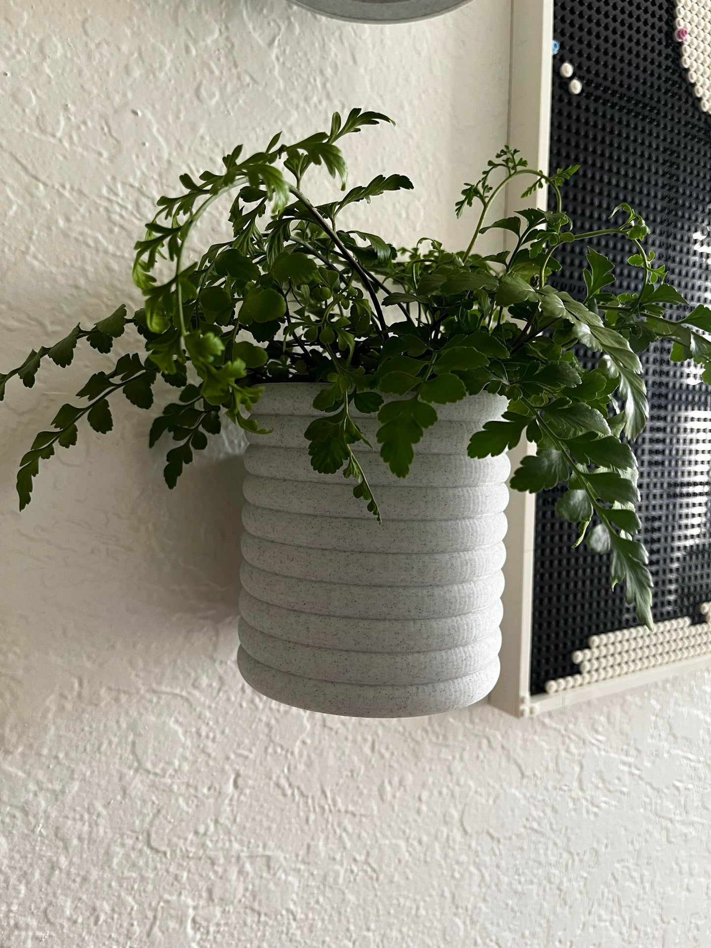 Wall Mounted Planter - NO DRILLING - Planter Stand, Potted Plant Wall, Decorative Indoor Wall Plant Holder, 3D Printed Wall Planter, Houseplant Wall Display Ideas - 4 Inches