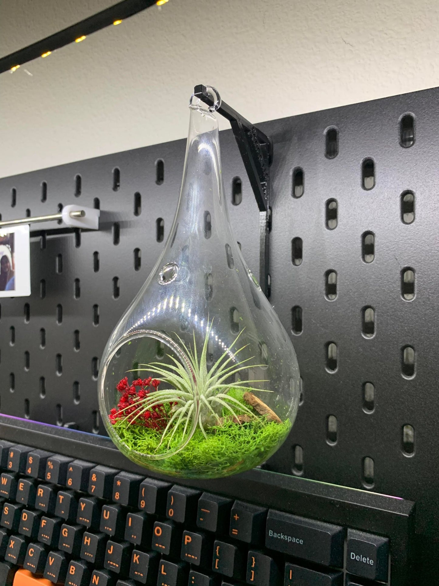 2 Pack IKEA SKADIS Plant Hanger | Senac LLC | Accessory Mount Pegboard Air Plant Dangle Terrarium