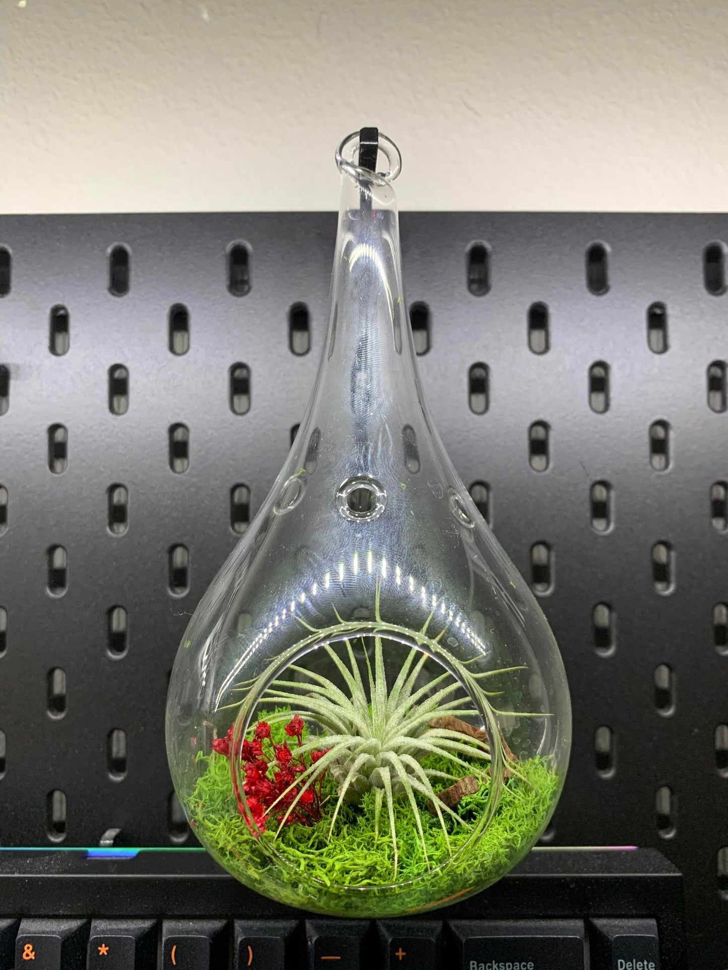 2 Pack IKEA SKADIS Plant Hanger | Senac LLC | Accessory Mount Pegboard Air Plant Dangle Terrarium