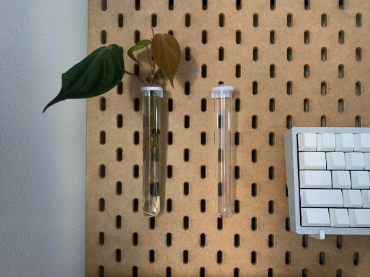 2 Pack | SKADIS | Glass Vial Propagation Plant Hanger Pegboard Active