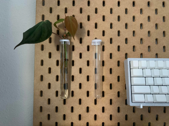2 Pack | SKADIS | Glass Vial Propagation Plant Hanger Pegboard Active