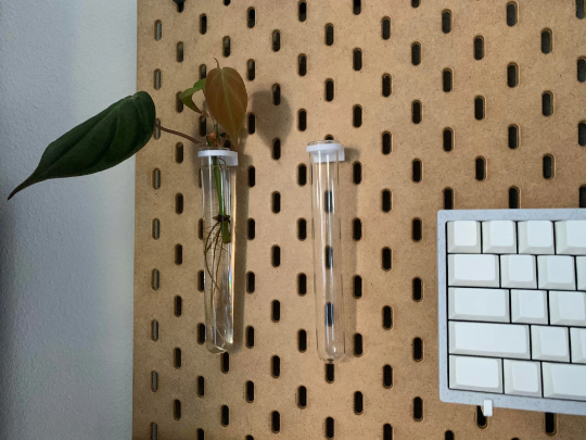 2 Pack | SKADIS | Glass Vial Propagation Plant Hanger Pegboard Active