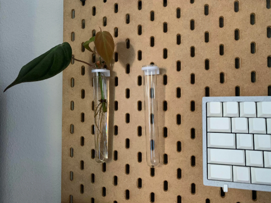 2 Pack | SKADIS | Glass Vial Propagation Plant Hanger Pegboard Active