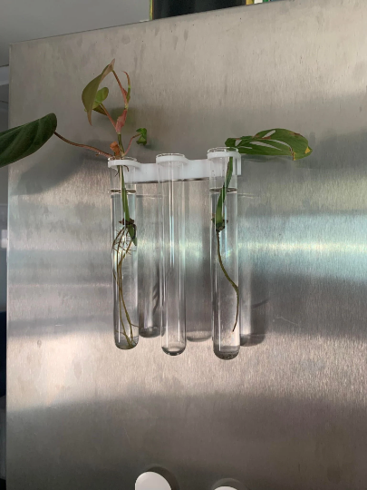 1 Piece | Senac LLC | Fridge Magnet Vial Propogation Planter Decor